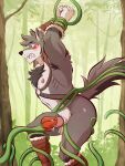 absurd_res anthro armor armpit_hair arms_tied barbarian bdsm blue_eyes blush body_hair bondage bound canid canine canis chest_hair chest_tuft clenched_teeth defeated embarrassed fantasy fellatio flower forced forced_orgasm forest forest_background hi_res knot kyash-tyur legs_tied male mammal medieval medieval_armor muscular muscular_male nature nature_background nude oral orgasm penile plant sex solo struggling teeth thick_thighs tree tuft ventkazemaru vines warrior wolf