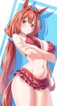  1girl :t absurdres animal_ears arada_(corsair_zero) arms_under_breasts bare_shoulders bikini bikini_skirt blush breasts brown_hair cleavage crossed_arms daiwa_scarlet_(trifle_vacation)_(umamusume) daiwa_scarlet_(umamusume) frilled_bikini frills hair_between_eyes hair_bobbles hair_intakes hair_ornament highres horse_ears horse_girl horse_tail large_breasts long_hair looking_at_viewer low_twintails navel official_alternate_costume pout red_bikini red_eyes solo swimsuit tail thighs twintails umamusume v-shaped_eyebrows very_long_hair 