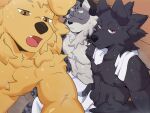  3boys abs animal_ears bara closed_eyes closed_mouth dev_(itily) dog_boy dog_ears english_commentary fang furry furry_male highres i_think_i_like_you leon_(itily) looking_at_viewer male_focus may0nnaixe multiple_boys muscular muscular_male naked_towel open_mouth pectorals ray_(itily) sauna sitting snow_leopard_boy snow_leopard_ears snow_leopard_tail sweat tail topless_male towel towel_around_neck wolf_boy wolf_ears wolf_tail 