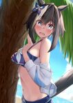  1girl absurdres animal_ears beach bikini black_hair blue_bikini blue_bow blue_eyes blue_sky blush bow bow_bikini bright_pupils character_request commentary_request day embarrassed frilled_bikini frills from_side hair_between_eyes hair_bow highres horse_ears horse_girl horse_tail jacket long_bangs looking_at_viewer looking_to_the_side miyama_mizuki_(hoshihoshi1220) multicolored_hair navel ocean off_shoulder open_clothes open_jacket open_mouth outdoors raised_inner_eyebrows sky stomach streaked_hair sweat swimsuit tail tree turning_head umamusume upper_body wavy_mouth white_jacket white_pupils white_streaks 