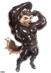 2025 abs absurd_res anthro barazoku bedroom_eyes biceps big_bulge big_muscles black_bodysuit black_clothing black_latex black_skinsuit bodysuit bulge canid canine canis clothed clothing eyebrows flexing flexing_bicep flexing_both_biceps fur hair hi_res high-angle_view kemono kumak71395 latex latex_bodysuit latex_clothing latex_skinsuit looking_at_viewer male mammal muscular muscular_anthro muscular_male narrowed_eyes obliques pecs richie_(kumak71295) seductive simple_background skinsuit smile solo standing tight_clothing tuft white_background