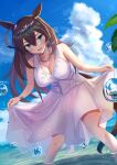  animal_ears cleavage dress m.a.y. mihono_bourbon_(umamusume) see_through skirt_lift summer_dress tail uma_musume_pretty_derby wet 