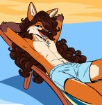 anthro beach black_nose blue_bottomwear blue_clothing blue_shorts bottomwear brown_eyes brown_hair brown_hands brown_nose canid canine canis chair clothed clothing colored curly_hair domestic_dog ear_tuft eyebrows eyelashes f4ephantomii fur furniture glistening glistening_nose grin hair hands_behind_back hands_behind_head hands_behind_own_head inner_ear_fluff long_hair lounge_chair male mammal open_mouth orange_body orange_fur shorts shorts_only simple_background smile smug smug_face solo struan_(f4ephantomii) teeth topless tuft