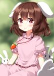  1girl animal_ears blurry blurry_background blush brown_hair carrot_necklace commentary_request completion_time cowboy_shot dress floppy_ears green_background highres inaba_tewi jewelry looking_at_viewer necklace open_mouth pink_dress rabbit rabbit_ears rabbit_girl red_eyes ribbon-trimmed_sleeves ribbon_trim ruu_(tksymkw) short_hair short_sleeves solo touhou 