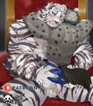  2boys absurdres animal_ears arknights armpit_hair armpits ass_grab bandaged_hands bandages bara belt black_belt blue_male_underwear blush bulge coat coat_on_shoulders furry furry_male highres hug hyena_boy hyena_ears hyena_tail imminent_penetration jockstrap large_pectorals looking_at_viewer male_focus male_underwear mountain_(arknights) multiple_boys muscular muscular_male nipples no_pants on_person pants pectorals print_male_underwear ratontheraccoon scar scar_across_eye scar_on_arm scar_on_chest selfie short_hair sitting smile spot_(arknights) spread_legs striped tail thick_thighs thighs throne tiger_boy tiger_ears underwear underwear_only white_fur white_hair white_male_underwear white_pants yaoi 