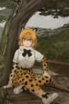  1girl animal_ears animal_print bangs belt black_hair blonde_hair bow bowtie center_frills colored_inner_hair day elbow_gloves expressionless frills full_body fur_collar gloves grey_sky high-waist_skirt highres jaguar_(kemono_friends) jaguar_ears jaguar_print kemono_friends looking_at_viewer medium_hair miniskirt multicolored_hair outdoors parted_bangs pleated_skirt print_gloves print_legwear print_skirt river rumenia_(ao2is) shirt shoes short_sleeves sitting sketch skirt sky solo thighhighs tree two-tone_hair water white_shirt yellow_eyes 