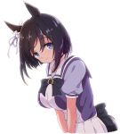  1girl animal_ears black_hair blue_eyes ear_ribbon eishin_flash_(umamusume) eyebrows_visible_through_hair highres horse_ears horse_girl horse_tail looking_at_viewer mel_(melty_pot) ribbon school_uniform short_hair short_sleeves simple_background solo tail tracen_school_uniform umamusume white_background white_ribbon 