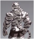  1boy animal_ears arknights ass back bara black_male_underwear boxers butt_crack from_behind furry furry_male highres looking_at_viewer looking_back male_focus male_underwear mountain_(arknights) muscular muscular_male scar scar_across_eye short_hair solo thighs tiger_boy tiger_ears uiokv underwear underwear_only white_fur white_hair 