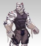  1boy animal_ears animal_hands arknights bandages bara bare_shoulders belt black_belt bulge chain_necklace covered_abs covered_navel covered_nipples feet_out_of_frame furry furry_male grey_shorts highres large_pectorals male_cleavage male_focus mountain_(arknights) muscular muscular_male pectorals scar scar_across_eye short_hair shorts sidepec solo thick_eyebrows tiger_boy tiger_ears uiokv white_fur white_hair 