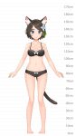  1girl aina_(mao_lian) animal_ear_fluff animal_ears arms_at_sides bare_arms bare_legs bare_shoulders barefoot blue_eyes bow bow_bra bow_panties bra breasts brown_bra brown_hair brown_panties cat_ears cat_tail closed_mouth full_body height_chart highres looking_at_viewer mao_lian_(nekokao) medium_breasts navel original panties pigeon-toed short_hair smile solo standing tail underwear underwear_only white_bow 