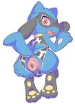 absurd_res anal anal_prolapse animal_print anthro anus balls blue_body blue_fur blush butt clothed clothing cow_print digital_media_(artwork) fur gaping generation_4_pokemon genitals hi_res legwear lingerie looking_at_viewer male nintendo pawpads paws pokemon pokemon_(species) prolapse puffy_anus riolu sharalythesheep simple_background solo topwear underwear