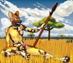  acacia_tree african_wild_dog animal_genitalia animal_penis anthro balls blush bodily_fluids brown_body brown_eyes brown_fur canid canine canine_genitalia canine_penis canis claws cloud ears_up erection fangs fur genital_fluids genitals grass grassland hi_res hybrid jackal landscape male mammal marrowstone melee_weapon mottled mottled_body mottled_fur nipples nude orange_body orange_fur outside paws penis piebald piebald_body piebald_fur pink_penis plant polearm precum savanna sitting sky snaggle_tooth solo spear spots tan_body tan_fur teeth tree weapon whiskers white_body white_fur 