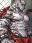  1boy abs animal_ears arknights bara bare_pectorals blue_eyes frown furry furry_male highres jacket jacket_on_shoulders large_pectorals looking_at_viewer male_focus mountain_(arknights) muscular muscular_male navel nipples official_alternate_costume open_clothes open_shirt orange_jacket orange_pants pants pectorals prison_cell prison_clothes rabbity_art scar scar_across_eye scar_on_arm scar_on_chest scar_on_stomach short_hair solo stomach thick_eyebrows tiger_boy tiger_ears white_fur white_hair 