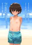  1girl absurdres arms_behind_back bangs beach blush breasts brown_eyes brown_hair closed_mouth cloud crossdressing day eyebrows_visible_through_hair girls_und_panzer hair_between_eyes highres isobe_noriko looking_at_viewer male_swimwear male_swimwear_challenge nipples oshiri_seijin outdoors short_hair sky small_breasts solo sweat swim_trunks tan tanlines topless translation_request 