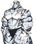  1boy abs absurdres animal_ears arknights artist_logo bara black_male_underwear briefs bulge commentary facial_hair feet_out_of_frame furry furry_male graysheartart highres large_hands large_pectorals logo looking_at_viewer male_focus male_swimwear male_underwear mountain_(arknights) muscular muscular_male navel nipples notice_lines pectorals scar scar_across_eye scar_on_arm scar_on_chest scar_on_face scar_on_leg scar_on_stomach short_hair solo stomach swim_briefs tail thick_arms thick_eyebrows thick_thighs thighs tiger_boy tiger_ears tiger_stripes tiger_tail topless_male underwear white_fur white_hair 