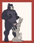 2026 anthro backsack balls bear big_balls black_bear black_body black_fur bodily_fluids butt cottontail_rabbit countershading dark_body dark_fur digital_drawing_(artwork) digital_media_(artwork) digitigrade duo ear_piercing ear_ring erection facial_piercing flat_colors fur genitals hi_res holding_balls ihuitl_(scribefang) imminent_oral kneeling labret_piercing lagomorph leporid lip_piercing male male/male mammal navel nervous nervous_smile nervous_sweat nipples no_irises piercing plantigrade rabbit ring_piercing scribefang scut_tail short_tail simple_background size_difference slightly_chubby slightly_chubby_anthro slightly_chubby_male slim slim_anthro slim_male smile standing sweat tail tecocoa_(scribefang) topknot ursine