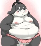 2018 abstract_background anthro asian_clothing belly biped blush bulge clothed clothed_anthro clothed_male clothing detailed_bulge digital_media_(artwork) east_asian_clothing floppy_ears genital_outline gingitsune hama_(gingitsune) headgear headwear holding_belly japanese_clothing kanmuri_(headwear) lagomorph leporid long_ears lop_ears male male_anthro mammal moobs navel nipples obese obese_anthro obese_male overweight overweight_anthro overweight_male panties penis_outline pink_clothing pink_panties pink_underwear rabbit reki_(artist) simple_background skimpy solo standing underwear whiskers