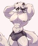 abs anthro baxter7020 big_muscles big_pecs black_hair bottomwear bulge canid canine canis clothed clothing detailed_bulge eye_patch eyewear fur genital_outline hair hi_res hotpants male mammal mihoyo muscular muscular_male navel nipple_piercing nipples open_mouth pecs penis_outline piercing shorts small_waist solo topless von_lycaon white_body white_fur white_hair wolf zenless_zone_zero