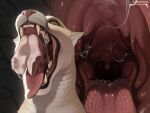 anthro bodily_fluids clothing cougar digital_drawing_(artwork) digital_media_(artwork) digital_painting_(artwork) dragon drooling_tongue ears_up eating facial_hair fangs feet felid feline female feral fingers foot_fetish footwear fur hi_res hindpaw hoffersanchez male mammal mane mouth_shot mustache mythological_creature mythological_scalie mythology open_mouth painting_(artwork) panthera paws pink_mouth pink_nose pink_tongue saliva scalie smelly snout socks solo swallowing sweat teeth throat tongue tongue_out vore white_body white_fur yellow_body yellow_eyes yellow_fangs yellow_fur yellow_teeth