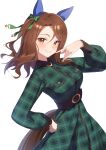  1girl absurdres animal_ears blush bow breasts brown_hair brown_tail commentary_request dress ear_bow ear_covers ear_ribbon freely2327 green_bow green_dress hair_between_eyes hair_bow hand_on_own_hip hand_up highres horse_ears horse_girl horse_tail king_halo_(shopping_for_me)_(umamusume) king_halo_(umamusume) long_hair long_sleeves looking_at_viewer official_alternate_costume plaid_clothes plaid_dress red_eyes simple_background smile solo tail umamusume white_background 