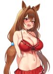 1girl absurdres animal_ears arms_behind_back bikini blush breasts brown_hair commentary daiwa_scarlet_(umamusume) fang frilled_bikini frills hair_between_eyes hair_bobbles hair_ornament highres horse_ears horse_girl large_breasts long_hair looking_at_viewer low_twintails navel official_alternate_costume open_mouth red_bikini red_eyes skin_fang solo swimsuit twintails umamusume urrrt very_long_hair 