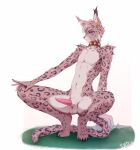 4_toes animal_genitalia animal_penis anthro balls bell blue_eyes claws collar collar_only crouching digital_media_(artwork) ear_piercing ear_ring erection feet felid feline feline_genitalia feline_penis femboy fingers fur genitals grass grey_body grey_fur hi_res looking_at_viewer lynx male male_anthro mammal markings multicolored_body navel nude pantherine penile_spines penis piercing pink_genitals pink_penis plant ring ring_piercing sadih sheath simple_background smile solo spots spotted_body spotted_fur spread_legs spreading tail tapering_penis toes tuft white_background white_body white_fur white_genitals