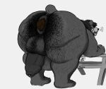adrian_dough anthro anus backsack balls bear bear_(adriandough) bent_over big_balls bodily_fluids body_hair breath butt_hair drooling feces foreskin furniture genital_fluids genitals hairy hi_res looking_back male mammal overweight overweight_male penis picnic_table pooping precum pubes puffy_anus saliva short_tail size_difference solo table tail tears text thought_bubble tusks