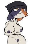 aaaaaron122 anthro areola beanie beanie_only blue_areola blue_breasts blue_nipples blue_pubes breasts calico_cat clothing crossed_arms domestic_cat epic_games felid feline felis female fortnite hairy_vulva hat hat_only headgear headgear_only headwear headwear_only looking_at_viewer mammal meow_skulls mostly_nude nipples nude nude_female pubes smile smiling_at_viewer solo yellow_eyes