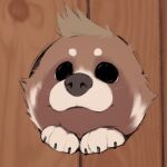 2023 :3 ailurid black_nose brown_body brown_fur brown_hair claws fence fur fur_markings hair hole_in_wall male mammal markings minedoo minedoo_(character) red_panda solo white_body white_fur wood wood_fence