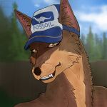 amber_eyes anthro canid canine canis clothing digital_media_(artwork) female fluffy forest_background furgonomic_hat furgonomic_headwear furgonomics hat headgear headwear hi_res inner_ear_fluff kyuu_(scarydrpepper) looking_at_viewer mammal multicolored_body project_zomboid red_wolf snarling solo teeth the_indie_stone tuft two_tone_body watermark wolf zenithell