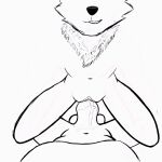 animated anthro balls balls_deep bodily_fluids canid canine canis cowgirl_position dominant dominant_female dripping dripping_wet duo faceless_character faceless_male female female_on_top first_person_view from_front_position genital_fluids genitals hi_res human human_on_anthro interspecies male male/female male_on_bottom mammal on_bottom on_top penetration penile penile_penetration precum precum_drip riding sex submissive submissive_male unfinished vaginal vaginal_fluids vaginal_penetration vandele wolf