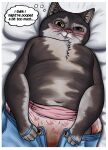  absurd_res ambiguous_gender anthro atotom912 bed blush bottomwear bottomwear_pull chest_tuft clothed clothing clothing_pull denim denim_bottomwear denim_clothing diaper diaper_under_clothing digital_media_(artwork) domestic_cat english_text feces felid feline felis front_view fur furniture hi_res jeans jeans_pull lying mammal on_back on_bed pants pants_pull partially_clothed pulling_up_pants soiled_diaper solo text thought_bubble tuft unclean_diaper used_diaper wearing_diaper 