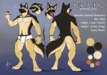  absurd_res anthro athletic athletic_anthro athletic_male bared_teeth black_body black_fur black_nose black_tail bottomwear brown_eyes bulge butt canid canine canis clothed clothing domestic_dog ears_back front_view fur german_shepherd glistening glistening_eyes herding_dog hi_res hufnaar jericho_(folf) looking_at_viewer male male_anthro mammal model_sheet mouth_closed nude open_mouth pastoral_dog pivoted_ears pubes rear_view red_tongue simple_background solo standing tail teeth tongue tongue_out topless underwear white_bottomwear white_clothing white_underwear yellow_body yellow_fur yellow_tail 