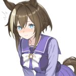  1girl ^^^ animal_ears blue_eyes blush bow bowtie breasts brown_hair brown_tail cheval_grand_(umamusume) closed_mouth commentary_request hair_between_eyes horse_ears horse_girl horseshoe_ornament large_breasts leaning_forward looking_at_viewer multicolored_hair nanasedayoxd purple_sailor_collar purple_shirt sailor_collar sailor_shirt school_uniform shirt short_hair short_hair_with_long_locks sidelocks simple_background single_hair_intake solo streaked_hair sweat tracen_school_uniform umamusume white_background white_bow white_bowtie white_streaks 