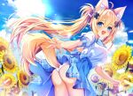  1girl absurdres ahoge animal_ear_fluff animal_ears ass blue_bow blue_skirt blue_sky bow breasts commentary_request cowboy_shot double-parted_bangs fang flower fox_ears fox_girl fox_tail from_behind hair_between_eyes hair_intakes hair_ornament hair_ribbon high-waist_skirt highres leaning_forward light_blush long_hair looking_at_viewer miniskirt open_mouth original panties pantyshot plaid_bow ribbon sakuradukihina shirt short_sleeves skin_fang skirt sky smile solo standing sunflower tail twintails underwear very_long_hair white_panties white_ribbon white_shirt x_hair_ornament 
