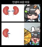  1girl :d absurdres alternate_language animal_ear_hairband animal_ears black_hair blue_archive blue_shirt chibi chibi_only commentary_request fake_animal_ears green_neckerchief hairband halo hand_up highres jochal kidney korean_commentary korean_text leaf leaf_on_head miyu_(blue_archive) money money_fan neckerchief open_mouth pyroxene_(blue_archive) rabbit_ear_hairband rabbit_ears sailor_collar shirt smile solo tongue tongue_out translation_request white_halo white_sailor_collar 