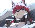  1boy animal_ears black_collar closed_mouth collar dog_boy dog_ears furrification furry furry_male highres komano_manato leaf_in_mouth loss_kim male_focus multicolored_hair over_shoulder scar scar_across_eye scar_on_face sword sword_over_shoulder upper_body weapon weapon_over_shoulder white_background zenless_zone_zero 