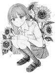  1girl blush bracelet breast_pocket collared_shirt commentary_request flower from_side full_body greyscale grin hands_on_own_knees highres jewelry kneehighs loafers long_hair looking_at_viewer looking_to_the_side mole mole_under_eye monochrome original pen_(medium) pleated_skirt pocket roroichi school_uniform shirt shoes short_sleeves skirt smile socks solo squatting straight_hair sunflower traditional_media turning_head v 