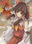  ascot autumn blurry blush bow brown_eyes brown_hair depth_of_field detached_sleeves from_above hair_bow hair_tubes hakurei_reimu light_smile ribbon short_hair solo touhou wide_sleeves xiao_qiang_(overseas) 