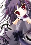  animal_ears bangs blunt_bangs blush dress feathers flower gokou_ruri gothic_lolita lolita_fashion long_hair minakami_rinka ore_no_imouto_ga_konna_ni_kawaii_wake_ga_nai panties panties_under_pantyhose pantyhose purple_eyes purple_flower purple_rose rose solo tail underwear 