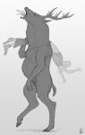 2020 ambiguous_gender anthro anthro_pred antlers black_hooves black_nose carrying_another deer deer_ears fur group head_first hi_res holding_another hooves horn human human_prey kelenkenwithfangs mammal monochrome oral_vore scut_tail short_tail simple_background tail trio vore watermark white_background