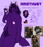 amethyst_(cryptorch1dism) anthro areola backwards_hat bangs big_areola big_breasts body_hair breasts brown_eyes canid canine canis claws clitoral_hood clitoris clothing cryptorch1dism english_text female fur genitals hair happy_trail hat headgear headwear hi_res humanoid_genitalia humanoid_vulva mammal model_sheet nipples pawpads pink_nipples pink_pawpads pubes purple_body purple_fur smile smirk solo spiky_hair text thick_pubes vulva wolf