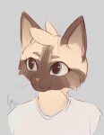 anthro black_whiskers blue_eyes brown_body brown_ears brown_face brown_fur brown_hands brown_markings cafyko cheek_tuft clothed clothing domestic_cat ear_tuft eyebrows eyelashes facial_tuft felid feline felis fluffy fur hair head_markings head_tuft hedrick_(hklarpzz) looking_at_viewer male male/male mammal markings multicolored_body multicolored_fur pink_nose simple_background sketch smile solo tan_body tan_eyebrows tan_fur tan_hair tan_tuft topwear tuft two_tone_body two_tone_fur whiskers white_background white_clothing white_topwear