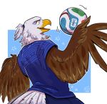 2026 accipitrid accipitriform anthro avian bald_eagle beak beastian_lover bird clothed clothed_anthro clothed_male clothing clutch_(fifa) eagle fifa hi_res male sea_eagle soccer_player soccer_uniform solo sportswear uniform yellow_beak