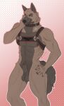absurd_res animal_genitalia animal_penis anthro balls brown_body brown_fur canid canine canine_genitalia canine_penis canis claws collar domestic_dog fingers fur furrymammy genitals german_shepherd hand_on_hip harness herding_dog hi_res looking_at_viewer male male_anthro mammal muscular muscular_anthro muscular_male nude pastoral_dog penis penis_tip red_genitals red_penis service service_animal service_dog_harness sheath simple_background smile solo tail yellow_eyes