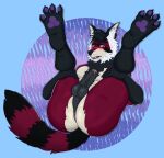 absurd_res anthro anus butt foreskin genitals hi_res hybrid korrithaburr legs_up male mammal pawpads paws penis presenting presenting_anus raised_paw solo