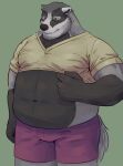 absurd_res anthro badger beard belly black_body black_fur clothing crop_top echo_(series) echo_project facial_hair fum4ca1 fur grey_body grey_fur hi_res male mammal mustelid musteline nikolai_krol overweight overweight_male shirt slightly_chubby slightly_chubby_anthro slightly_chubby_male solo the_smoke_room topwear yellow_clothing yellow_shirt yellow_topwear