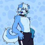 1:1 anthro blue_body blue_eyes blue_fur blue_hair bottomwear canid canine clothed clothing collar footprint frostwoof fur hair half_naked hi_res looking_at_viewer male mammal pants pants_only pattern_background pawprint portrait simple_background solo standing tail three-quarter_portrait tongue tongue_out topless