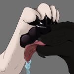 1:1 ambiguous/ambiguous ambiguous_gender bodily_fluids canid canine canis curling_toes duo feet female_(lore) foot_fetish foot_in_face foot_lick licking licking_paws male_(lore) mammal saliva saliva_on_foot saliva_on_tongue spirit_chavez tongue truspirit west_chavez wolf