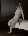 2026 animal_genitalia animal_vulva anthro bed canid canine canine_genitalia canine_vulva canis coyote detailed_background female flat_chested furniture genitals green_eyes hi_res looking_at_viewer mammal nipples nude on_bed sitting sitting_on_bed smile solo strana_(artist) vulva